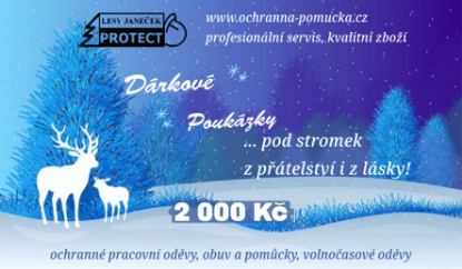 Picture of Vánoční dárkový poukaz 2000 Kč (fyzický)