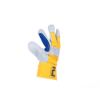 8997163466782-0101010499_GRYLLE_DOUBLE_gloves-01.jpg