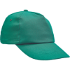 9024167510046-03140007_LEO_green_CERVA_2016_14936.tif.png