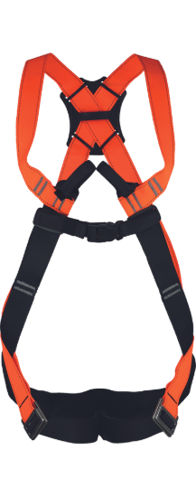 8922648281118